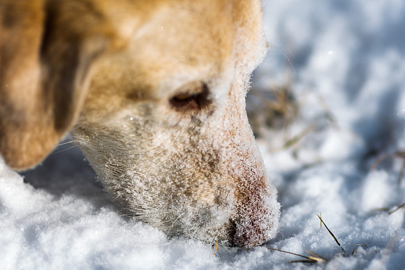 JANUARY fliks-7-4