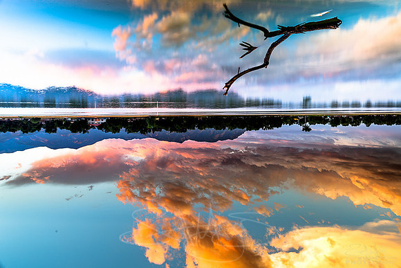 flippedsunsets