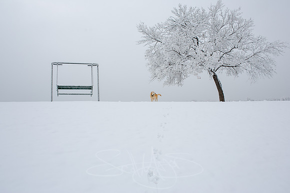 WINTERsubmission2016SpringsMag-4