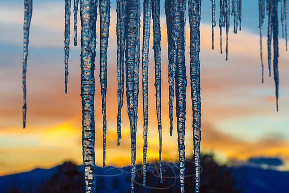 iceysunset