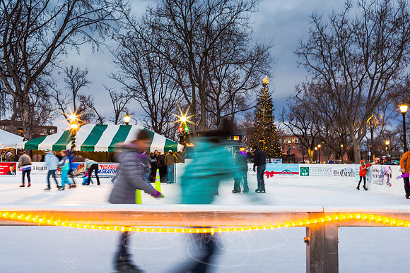 acaciaicerink2015