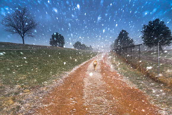 WINTERsubmission2016SPRINGSMAG-1