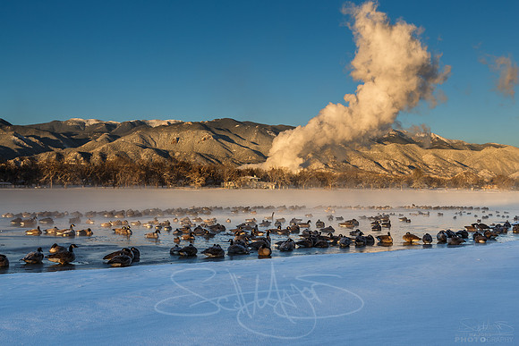 winterscapeCSprings-low-3