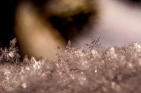 SNOWFLAKESpre2018-16
