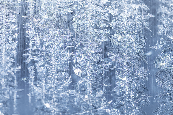 SNOWFLAKESpre2018-3