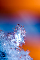 SNOWFLAKESpre2018