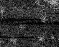 SNOWFLAKESpre2018-10