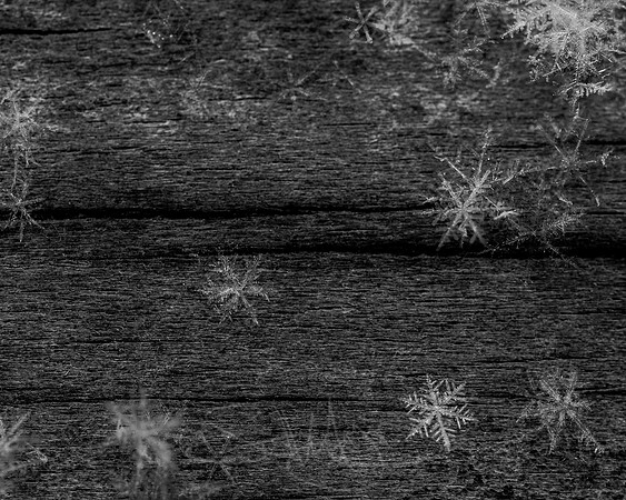SNOWFLAKESpre2018-10