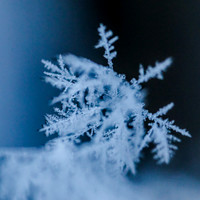 SNOWFLAKESpre2018-11