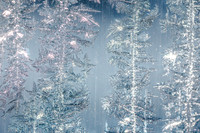 SNOWFLAKESpre2018-4