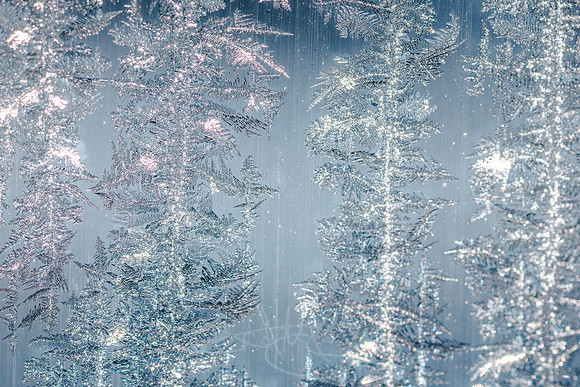 SNOWFLAKESpre2018-4