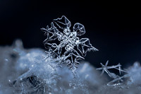 SNOWFLAKESpre2018-18