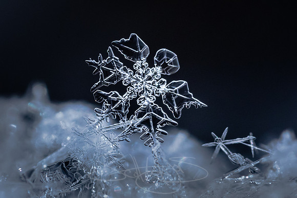 SNOWFLAKESpre2018-18