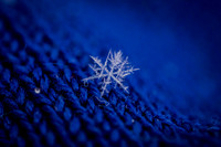 SNOWFLAKESpre2018-12