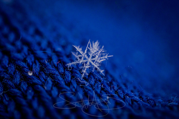 SNOWFLAKESpre2018-12