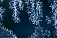 SNOWFLAKESpre2018-6