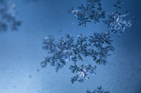 SNOWFLAKESpre2018-2