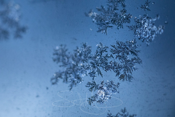 SNOWFLAKESpre2018-2