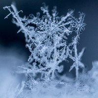 SNOWFLAKESpre2018-17