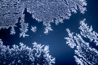 SNOWFLAKESpre2018-5