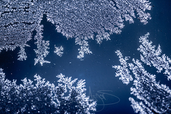 SNOWFLAKESpre2018-5