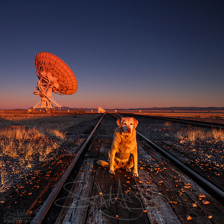 UfaArray-1