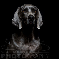 instafodda-4