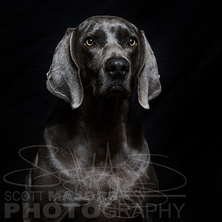 instafodda-4