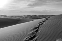 GreatDuneAfternoon-11