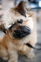 slice-postrace-6