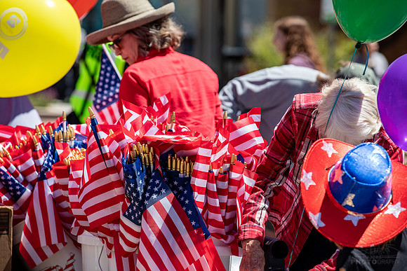 June 2026 Submission- Flags