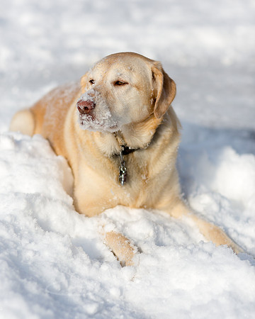 JANUARY fliks-9-2