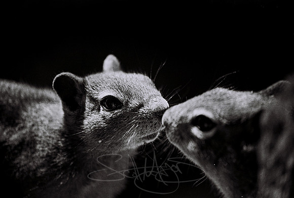 scott91-R20-E418