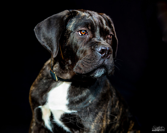 KingGeorge5month-1