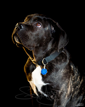 KingGeorge5month-3