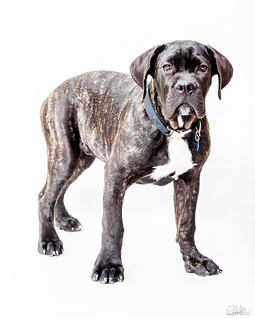 KingGeorge5month-9