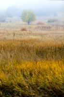 FallColorStock-15