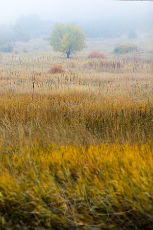 FallColorStock-15