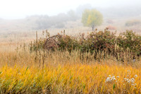 FallColorStock-17