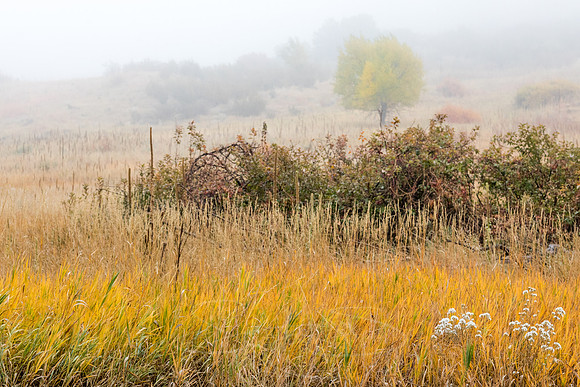 FallColorStock-17