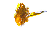 resin11x17-24