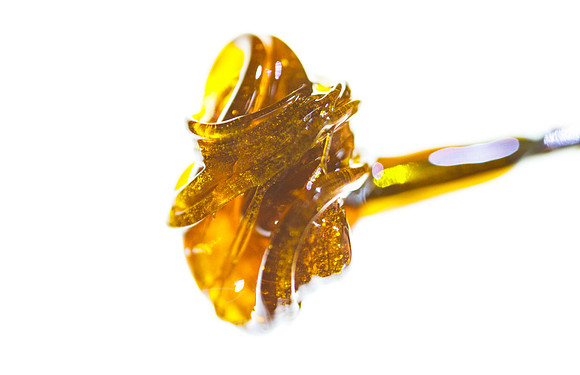resin11x17-24