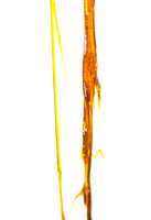 resin1319-33