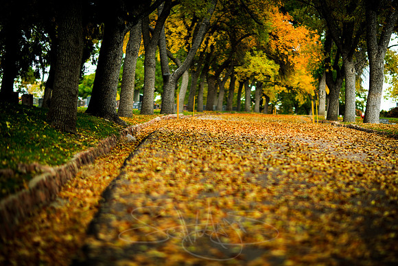 2013 Fall Colors-4