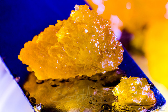 RMMmicroExtracts-25