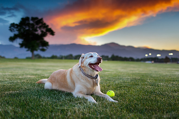 da ufasunsets