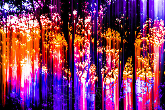 DMT