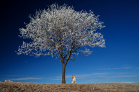December Gallery-40