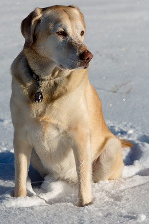 20140202-STOCK-31