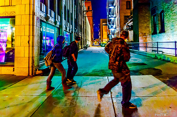 Alleyshitbirds